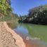  Land for sale in Amazonas, Alvaraes, Amazonas