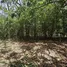  Land for sale in Santa Ana San Jose, Santa Ana, San Jose, Costa Rica