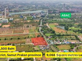  Land for sale in Samut Prakan, Bang Bo, Bang Bo, Samut Prakan