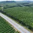  Земельный участок for sale in Bang But, Районг, Bang But