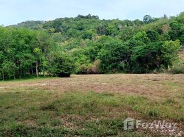  Land for sale in Phuket Town, Phuket, Chalong, Phuket Town