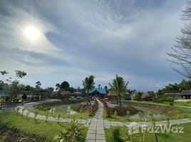  Land for sale in Thailand, Hat Nang Kaeo, Kabin Buri, Prachin Buri, Thailand