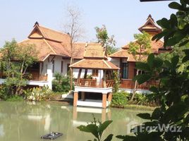3 Bedroom House for sale in Mueang Lamphun, Lamphun, Umong, Mueang Lamphun