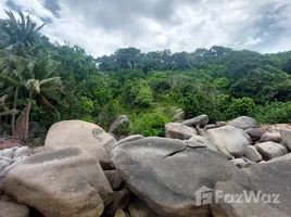 ขายที่ดิน ใน เกาะเต่า, สุราษฎร์ธานี, เกาะเต่า