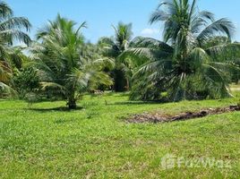  Grundstück zu verkaufen in Rio Preto Da Eva, Amazonas, Rio Preto Da Eva