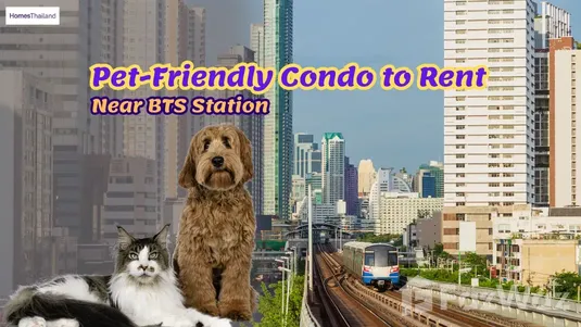 Pet-Friendly Condo near BTS