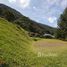  Land for sale in Envigado, Antioquia, Envigado