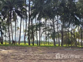 ขายที่ดิน ใน ปากแพรก, หัวหิน, ปากแพรก, บางสะพานน้อย, ประจวบคีรีขันธ์