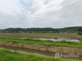  Земельный участок for sale in Таиланд, Чианг Дао, Chiang Dao, Чианг Маи, Таиланд