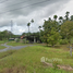  Land for sale in Nakhon Si Thammarat, Thi Wang, Thung Song, Nakhon Si Thammarat