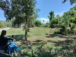  Land for sale in Na Mueang, Surat Thani, Na Mueang