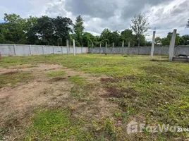 ขายที่ดิน ใน สันปูเลย, เชียงใหม่, สันปูเลย, ดอยสะเก็ด