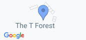 Map View of The T Forest