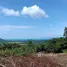  Grundstück zu verkaufen in Koh Samui, Surat Thani, Na Mueang