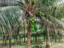  Terreno (Parcela) en venta en Brasil, Rio Preto Da Eva, Amazonas, Brasil