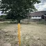  Land for sale in Mae Rim Chiang Mai, Rim Nuea, Mae Rim, Chiang Mai