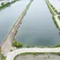  Land for sale in Phanthai Norasing, Samut Sakhon, Phanthai Norasing, Mueang Samut Sakhon, Samut Sakhon