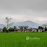 5 Bedroom Villa for sale in Chiang Rai, Huai Khrai, Mae Sai, Chiang Rai