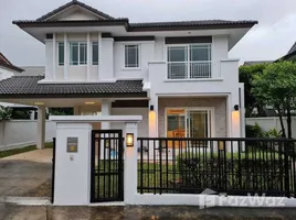 3 Habitación Casa en alquiler en Siwalee Choeng Doi, Mae Hia, Mueang Chiang Mai, Chiang Mai