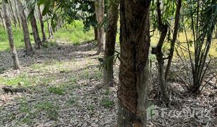 N/A Land for sale in Thai Buri, Nakhon Si Thammarat 