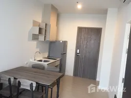 คอนโด 1 ห้องนอน ให้เช่า ในโครงการ เดอะ บลูม สุขุมวิท 71, พระโขนงเหนือ