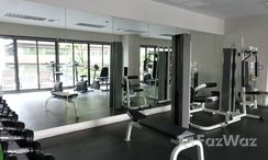 รูปถ่าย 2 of the Communal Gym at โนเบิล โซโล่