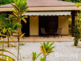 12 Schlafzimmer Haus zu verkaufen in Puntarenas, Puntarenas, Puntarenas, Puntarenas