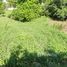  Land for sale in Bangkok, Nong Chok, Nong Chok, Bangkok