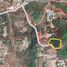  Land for sale in Choeng Thale, Thalang, Choeng Thale