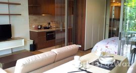 ยูนิตมือสองและให้เช่า