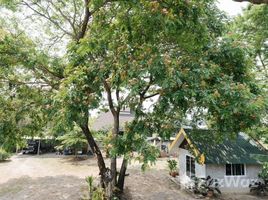 4 спален Дом for sale in Таиланд, Nong Phueng, Сарапхи, Чианг Маи, Таиланд