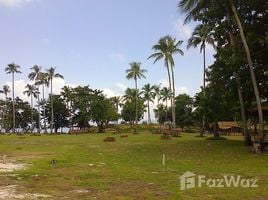  Land for sale in Surat Thani, Bo Phut, Koh Samui, Surat Thani