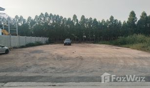 N/A Land for sale in Khu Bang Luang, Pathum Thani 