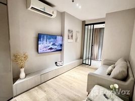 คอนโด 1 ห้องนอน ให้เช่า ในโครงการ เดอะ ฟายน์ แบงค็อค ทองหล่อ-เอกมัย, คลองตันเหนือ