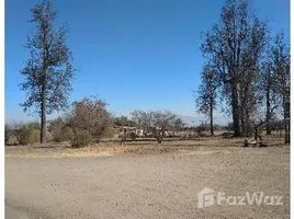  Terreno (Parcela) en venta en Colina, Colina, Chacabuco