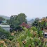 ขายที่ดิน ใน ราไวย์, ภูเก็ต, ราไวย์, เมืองภูเก็ต
