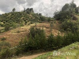  Land for sale in Colombia, Penol, Antioquia, Colombia
