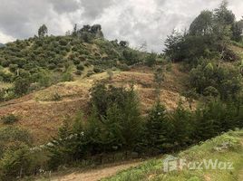  Terrain for sale in Penol, Antioquia, Penol