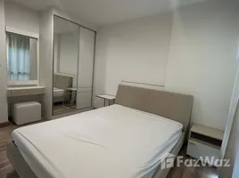 คอนโด 1 ห้องนอน ให้เช่า ในโครงการ เซ็นทริค ซีน สุขุมวิท 64, บางนา