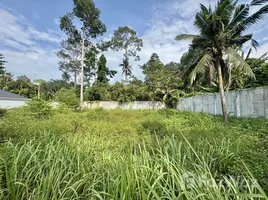 ขายที่ดิน ใน แม่น้ำ, สุราษฎร์ธานี, แม่น้ำ