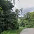  Land for sale in Bo Phut, Surat Thani, Bo Phut, Koh Samui