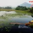  Terreno (Parcela) en venta en Tailandia, Rang Sali, Tha Muang, Kanchanaburi, Tailandia