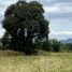  Land for sale in Khanong Phra, Nakhon Ratchasima, Khanong Phra, Pak Chong
