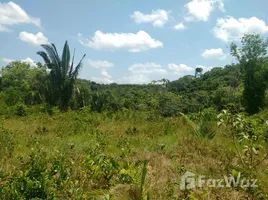  Земельный участок for sale in Amazonas, Careiro, Amazonas