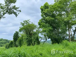  Terreno (Parcela) en venta en Parkridge estate , Antipolo City