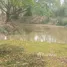  Land for sale in Ban Ueam, Lampang, Ban Ueam