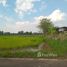  Land for sale in Phibun Mangsahan, Ubon Ratchathani, Nong Bua Hi, Phibun Mangsahan
