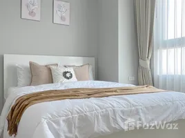 1 Bedroom Condo for rent at Rich Park at Chaophraya, Sai Ma, Mueang Nonthaburi, Nonthaburi, Thailand