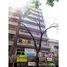 2 Habitación Apartamento en venta en Acevedo 500, Capital Federal