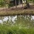  Land for sale in Saraburi, Dao Rueang, Mueang Saraburi, Saraburi